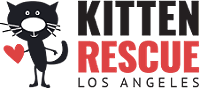 Kitten Rescue LA